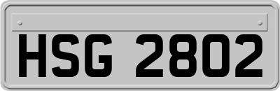 HSG2802