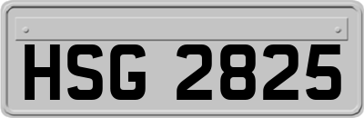 HSG2825