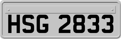 HSG2833