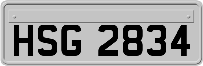 HSG2834