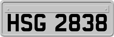 HSG2838