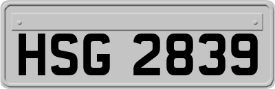 HSG2839