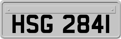 HSG2841