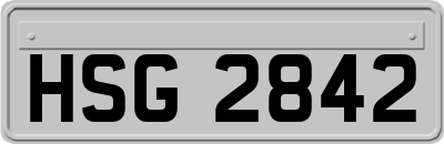 HSG2842