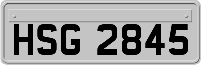 HSG2845