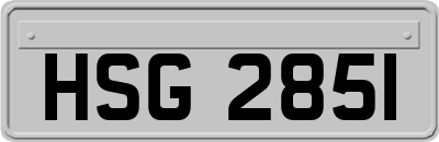 HSG2851