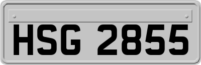 HSG2855