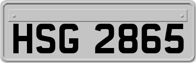 HSG2865