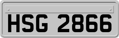 HSG2866