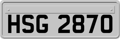 HSG2870