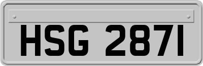 HSG2871