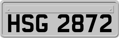 HSG2872