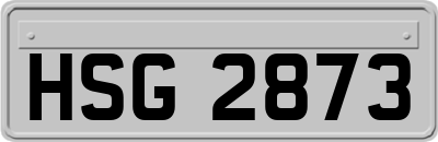 HSG2873