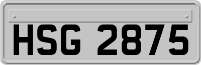 HSG2875