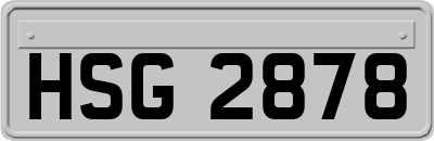 HSG2878
