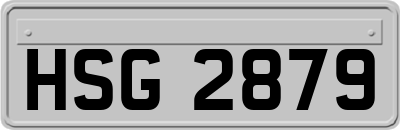 HSG2879