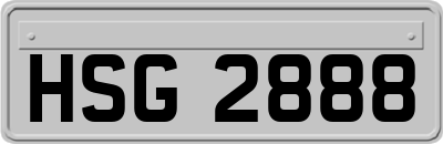 HSG2888