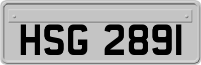 HSG2891