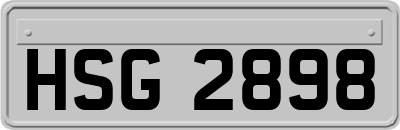HSG2898