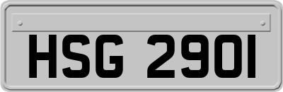 HSG2901
