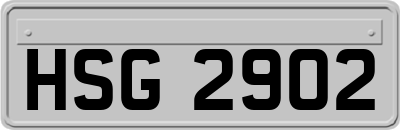 HSG2902