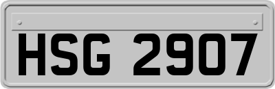 HSG2907