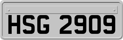 HSG2909