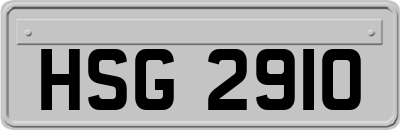 HSG2910