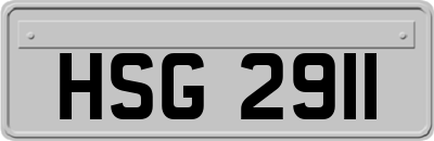 HSG2911
