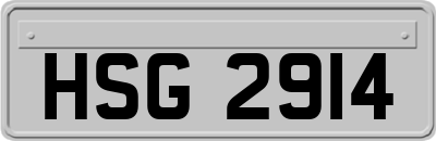 HSG2914