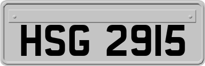 HSG2915