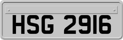 HSG2916