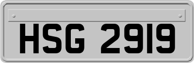 HSG2919
