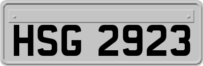 HSG2923