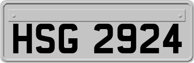 HSG2924