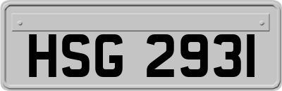 HSG2931