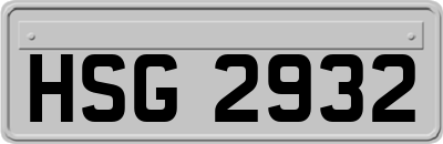 HSG2932