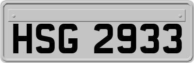 HSG2933