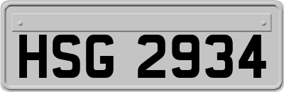 HSG2934