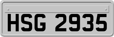 HSG2935