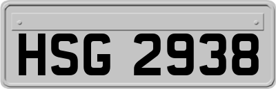 HSG2938