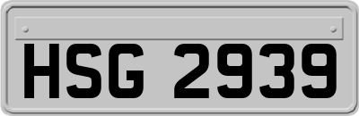HSG2939