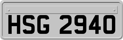 HSG2940