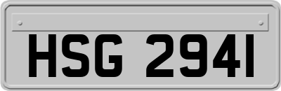 HSG2941