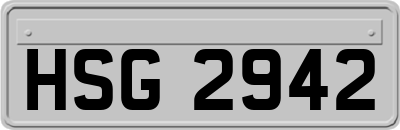 HSG2942