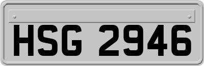 HSG2946