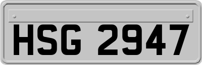 HSG2947