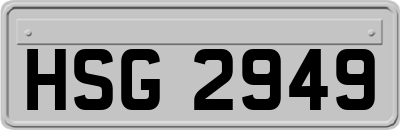HSG2949