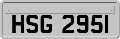 HSG2951
