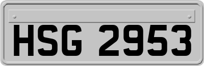 HSG2953